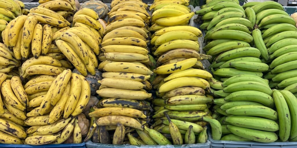 36 fincas plataneras del Quindío lideran transición hacia la agricultura regenerativa